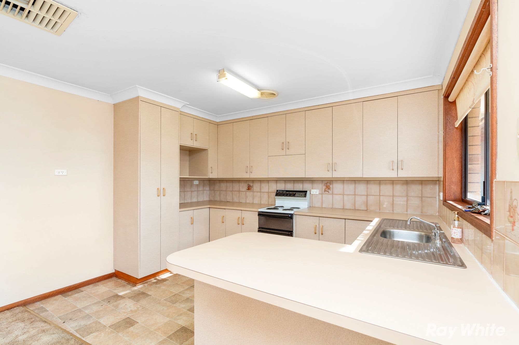 16 Olive Road, Stepney SA 5069, Stepney - Thumbnail 5