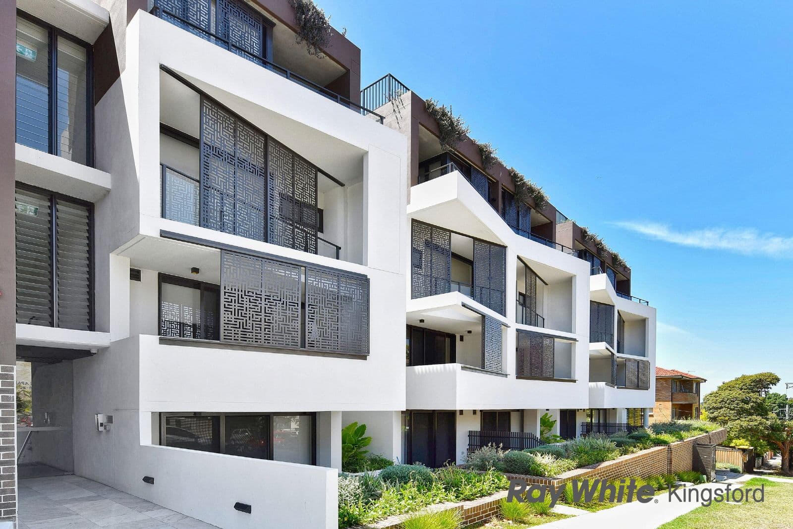 49 Boronia Street, Kensington NSW 2033, Kensington - Thumbnail 3