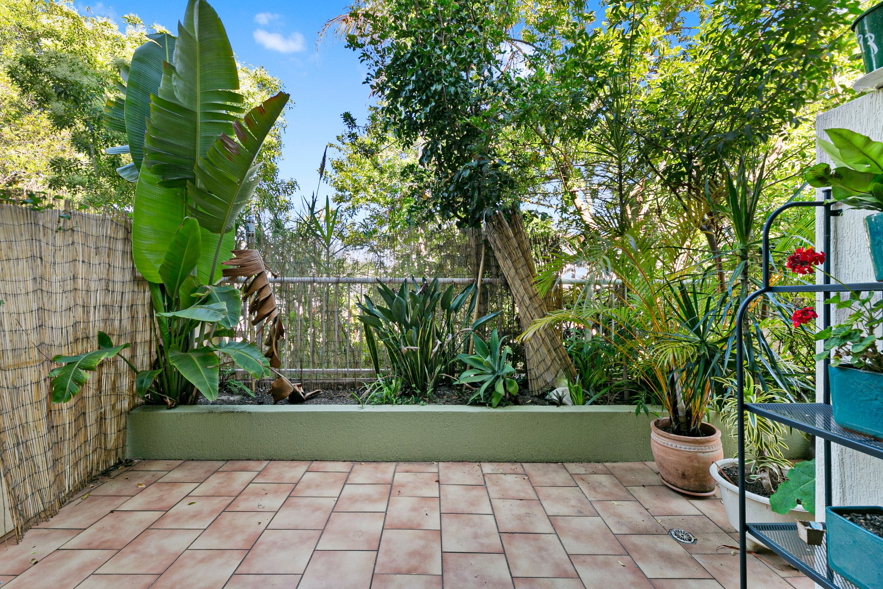 3-5 Anembo Street, Chevron Island QLD 4217, Chevron Island - Thumbnail 4