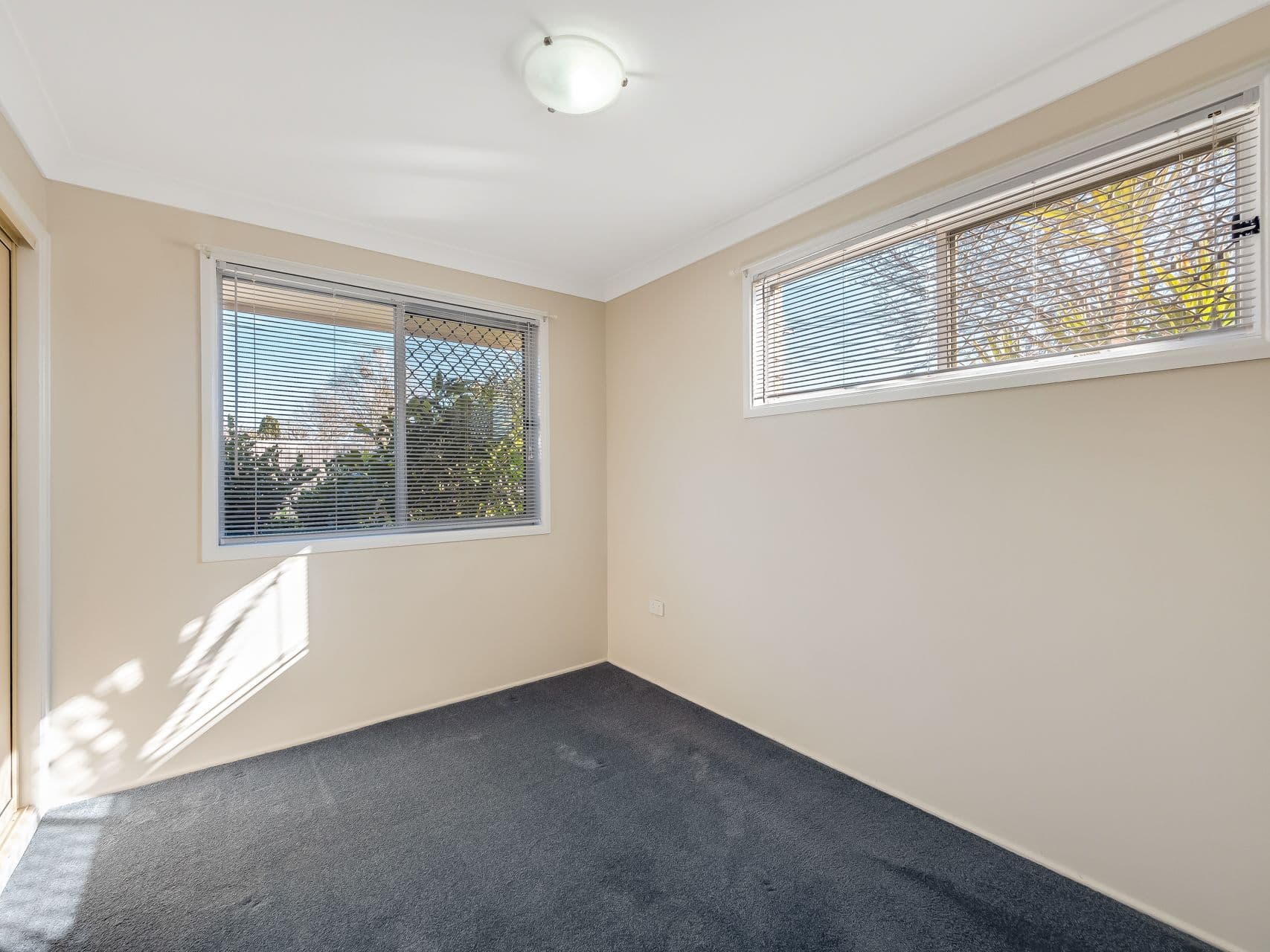 173 Ramsay Street, Centenary Heights QLD 4350, Centenary Heights - Thumbnail 6