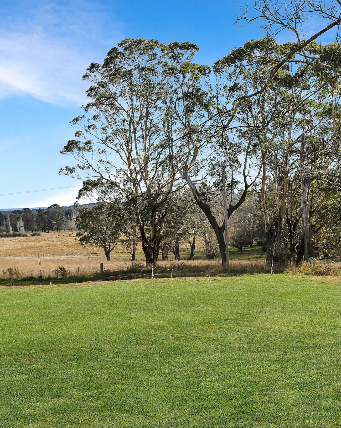 574A Ellsmore Road Exeter, Exeter - Thumbnail 8