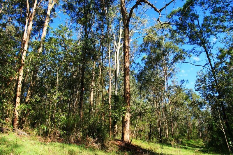REDBANK QLD 4301, Redbank - Thumbnail 2
