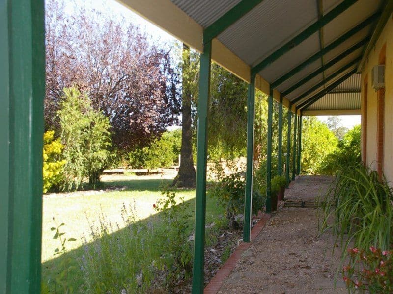164 Tarcoola Street, RENMARK SA 5341, Renmark West - Thumbnail 2