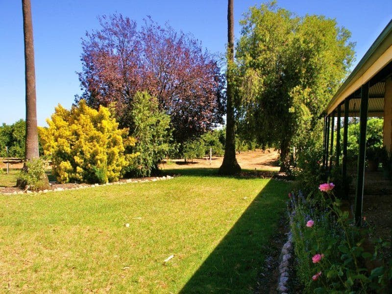 164 Tarcoola Street, RENMARK SA 5341, Renmark West - Thumbnail 3