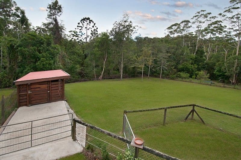 50 Swanson Place, MUDGEERABA QLD 4213, Mudgeeraba - Thumbnail 6