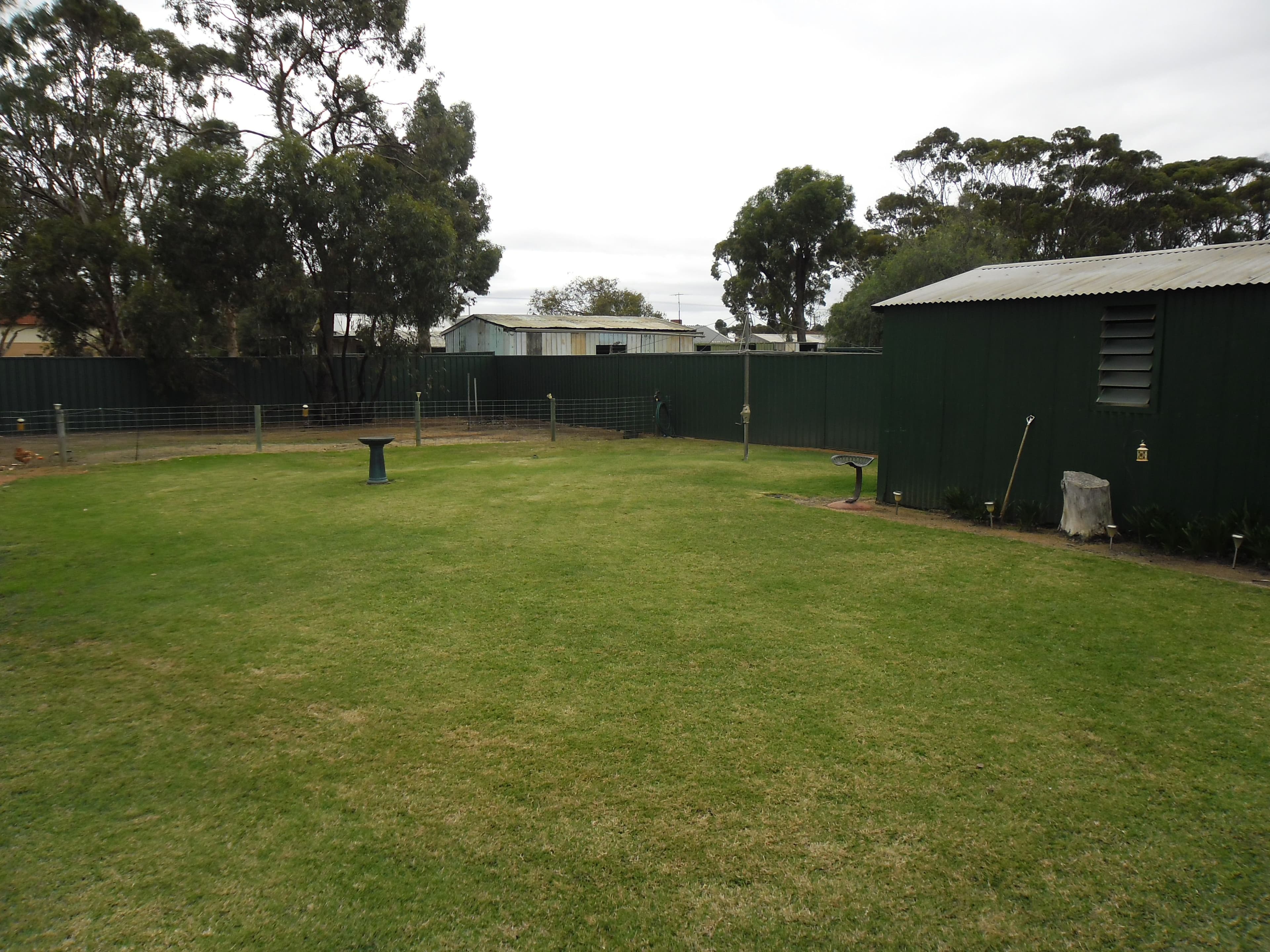 41 Mayrhofer Street, Three Springs WA 6519, Three Springs - Thumbnail 5