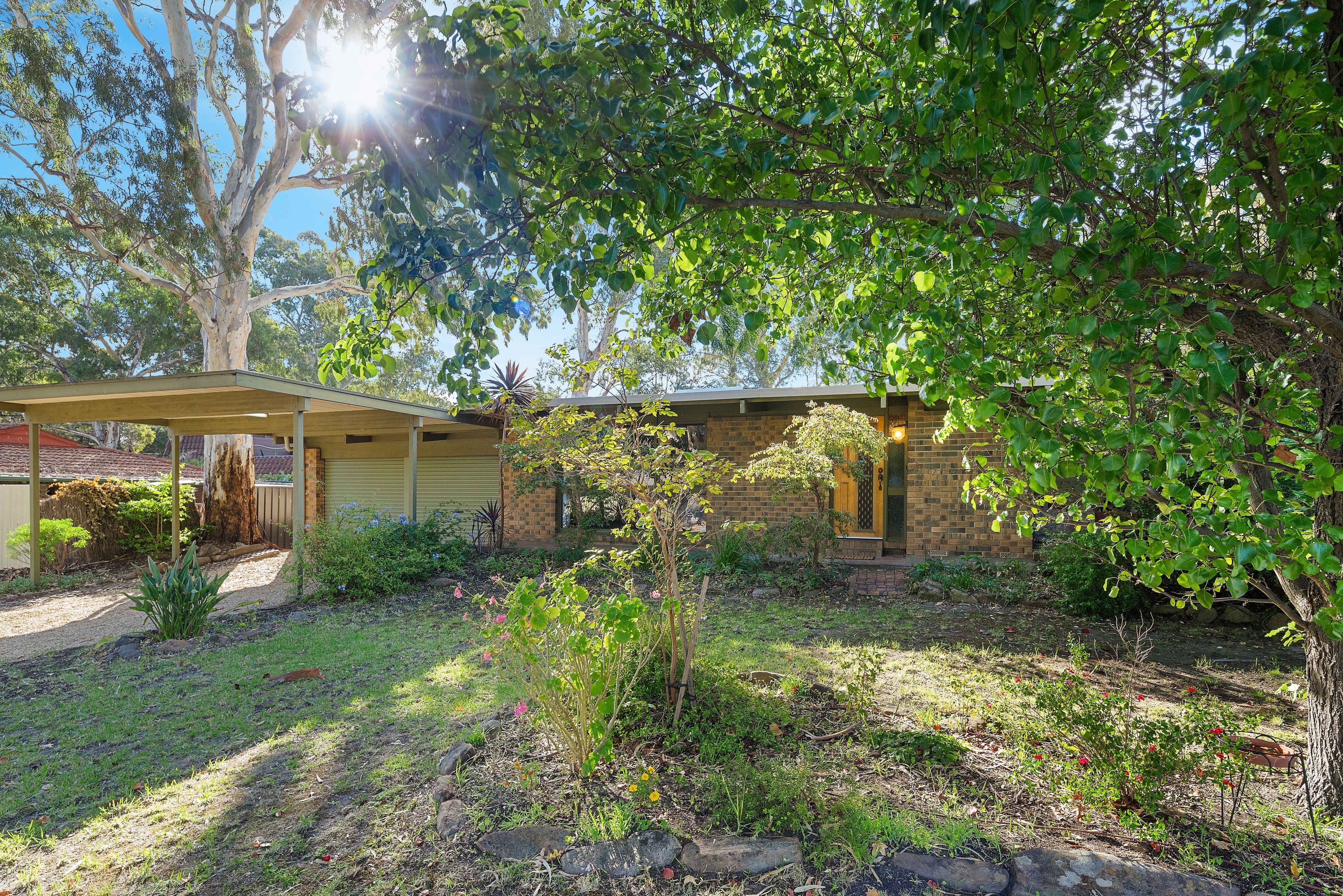 3 Dalpura Grove, Aberfoyle Park SA 5159, Aberfoyle Park - Image 1