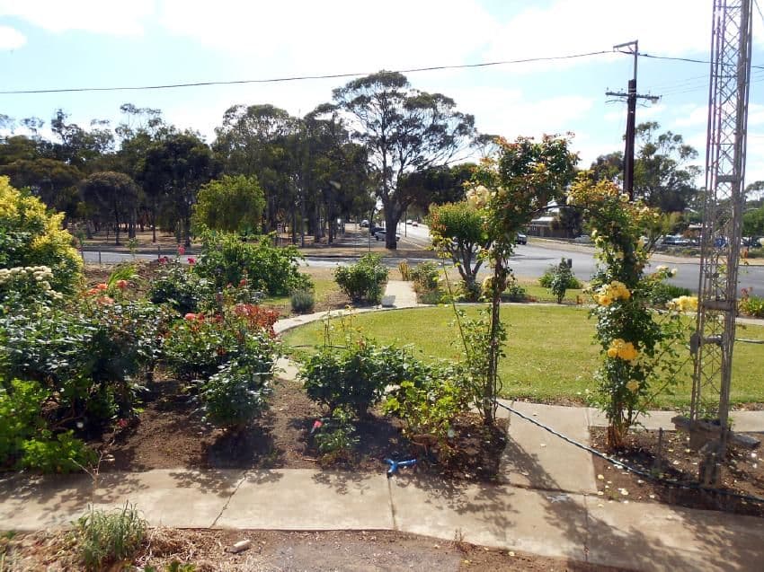 45 Pigeon Flat Road, Bordertown SA 5268, Bordertown - Thumbnail 3