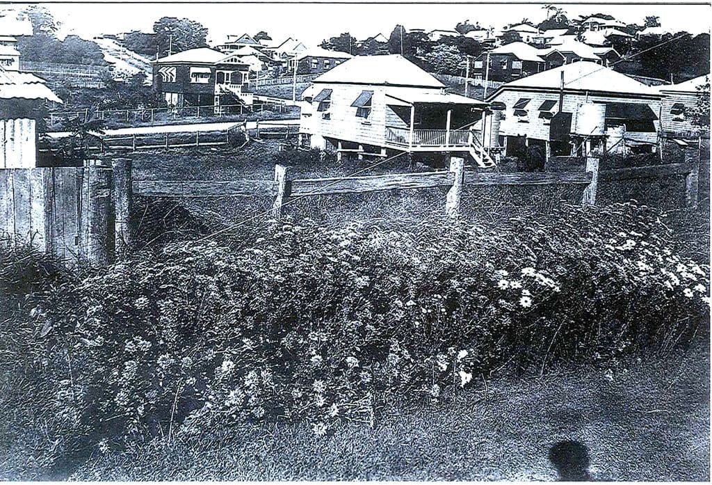 200 Brisbane Street, Bulimba QLD 4171, Bulimba - Thumbnail 6