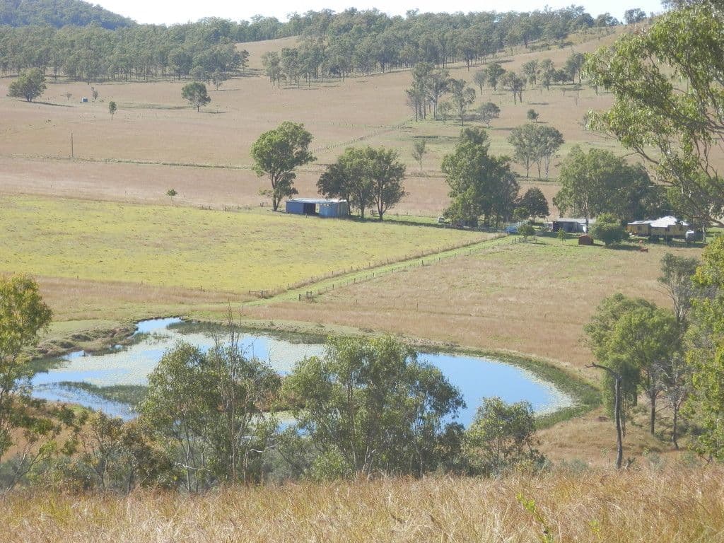 2 Weyba Avenue, Kialla, Kialla - Image 1