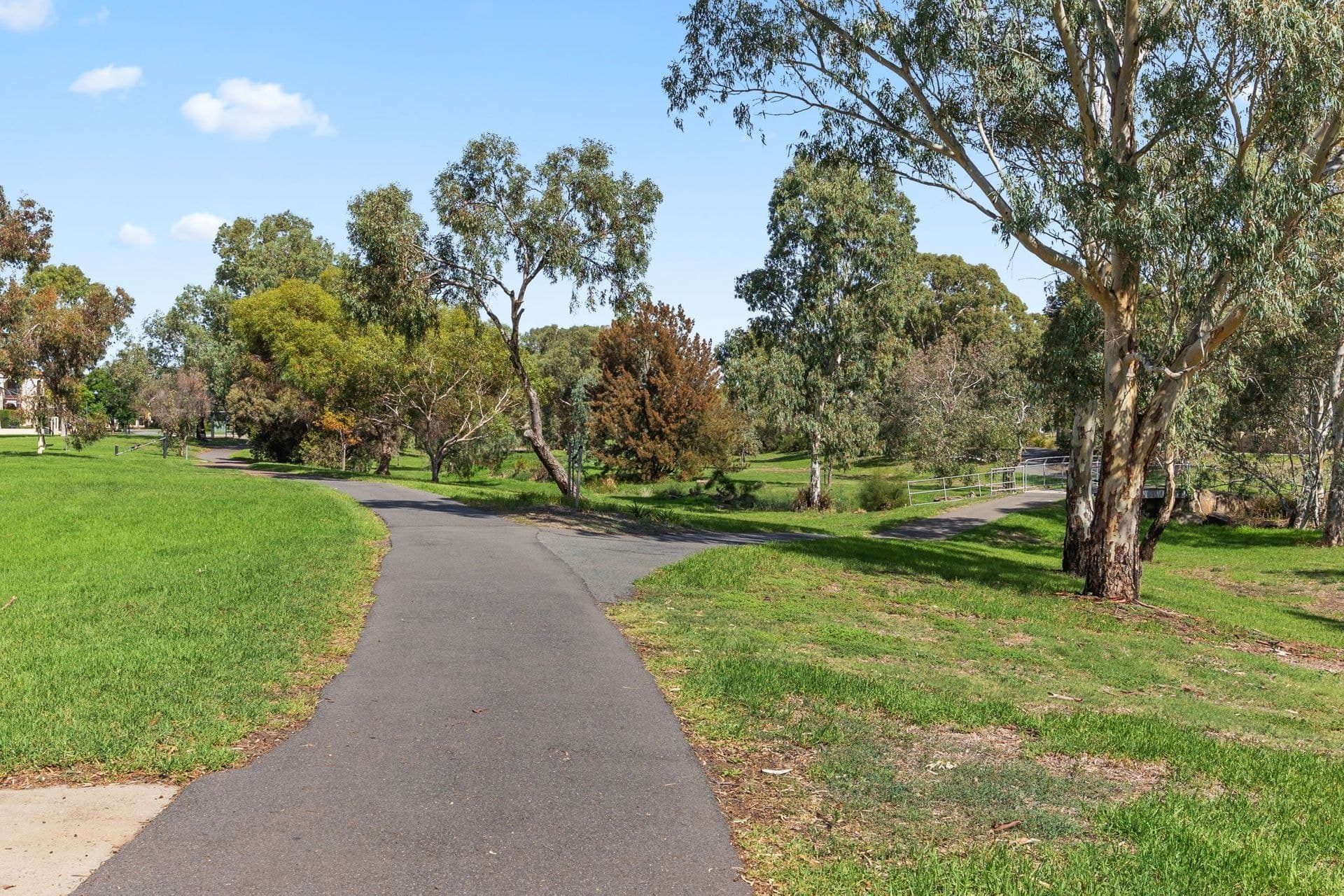 7 Grandview Court, Mawson Lakes, SA, 5095, Mawson Lakes - Thumbnail 5