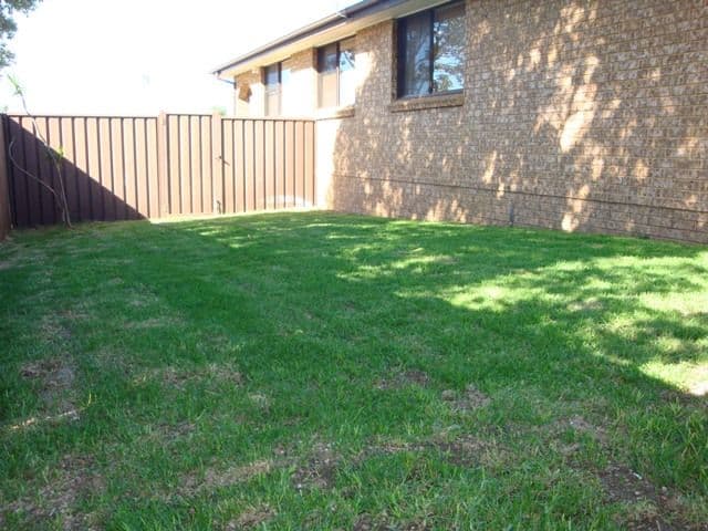 4 Hibiscus Street, Killarney, QLD, 4373, Killarney - Thumbnail 5