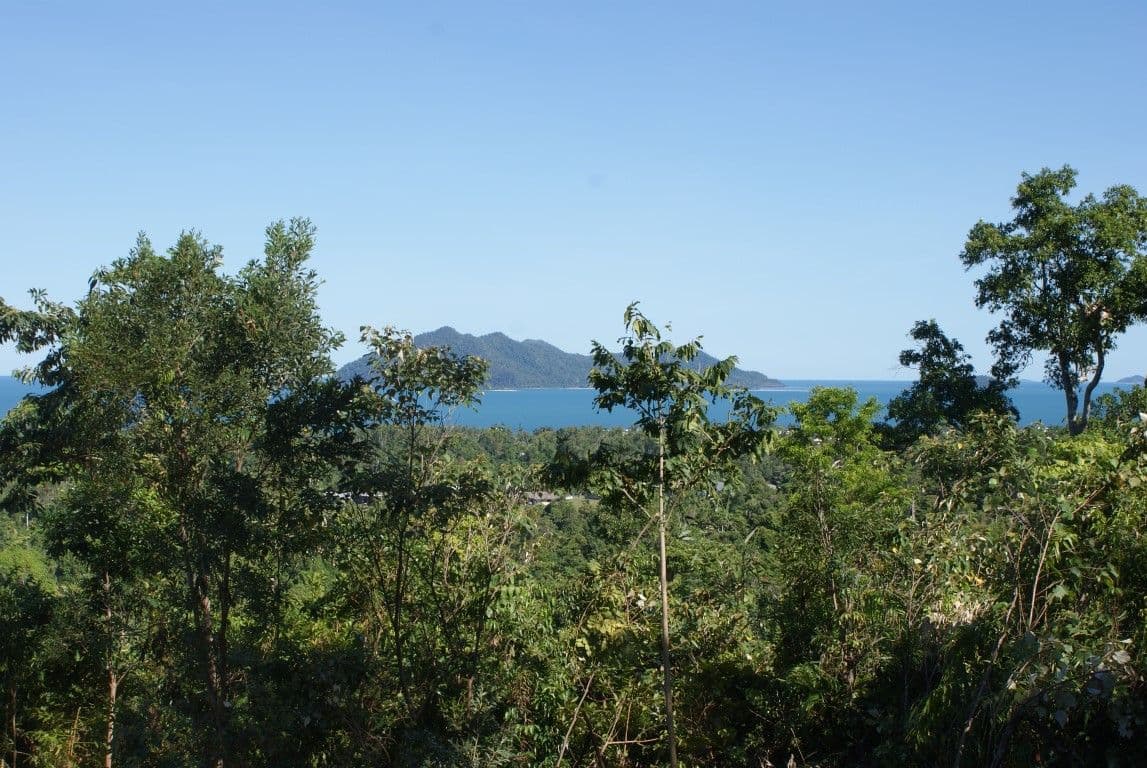42 Mission Circle, WONGALING BEACH QLD 4852, Wongaling Beach - Image 1