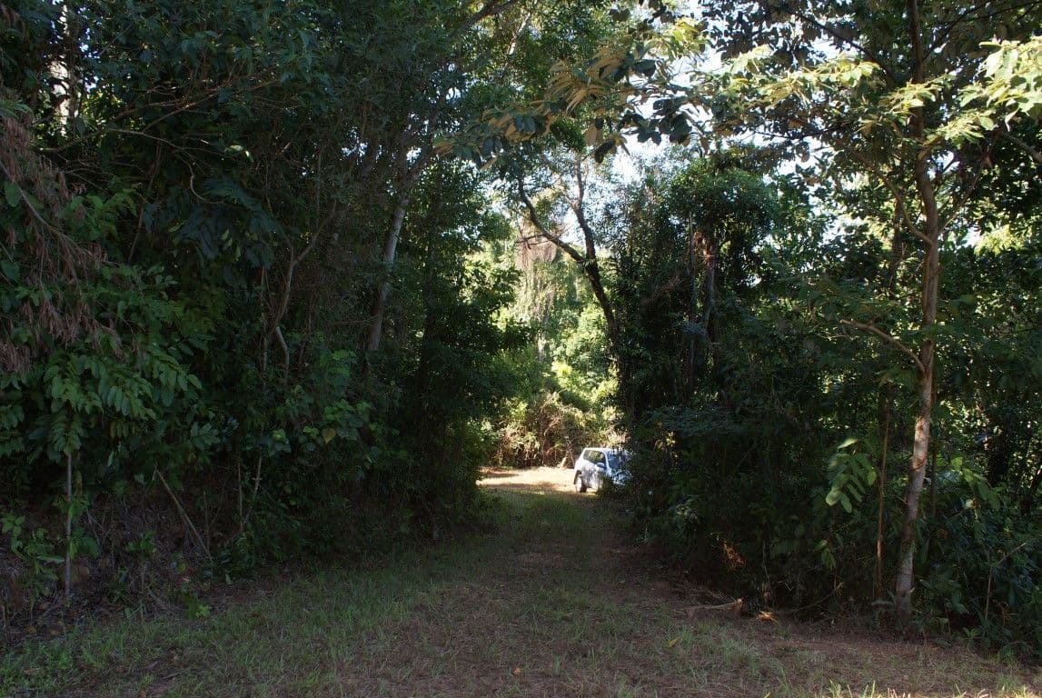 42 Mission Circle, WONGALING BEACH QLD 4852, Wongaling Beach - Thumbnail 5
