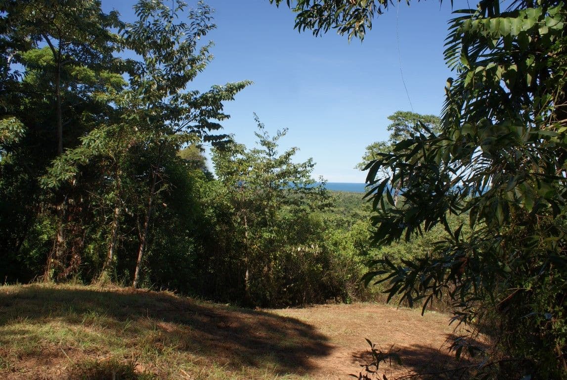42 Mission Circle, WONGALING BEACH QLD 4852, Wongaling Beach - Thumbnail 6