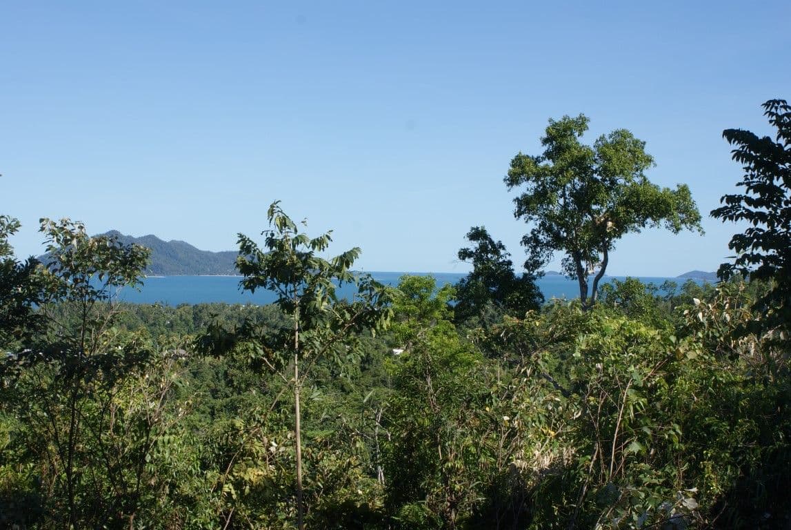 42 Mission Circle, WONGALING BEACH QLD 4852, Wongaling Beach - Thumbnail 7
