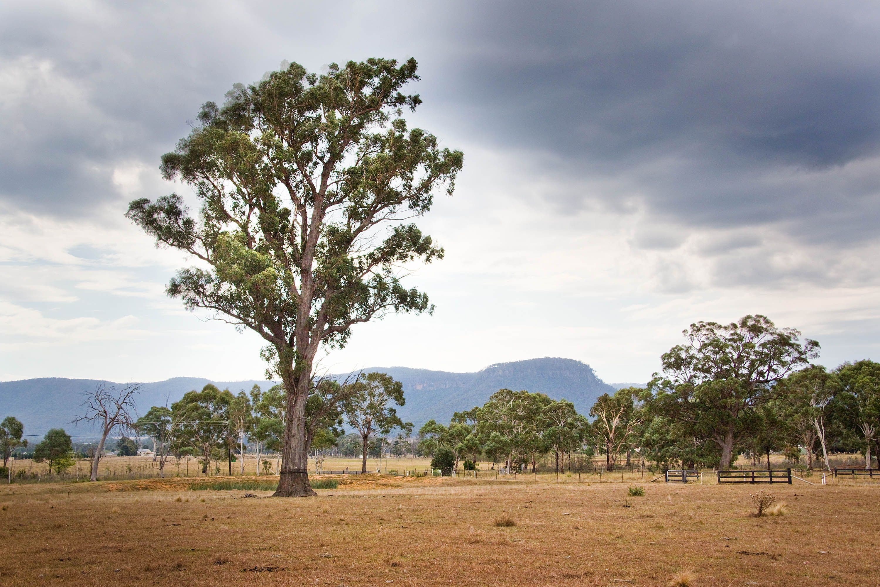 Lot 11 Bruwalin Place, Hartley NSW 2790, Hartley - Thumbnail 4