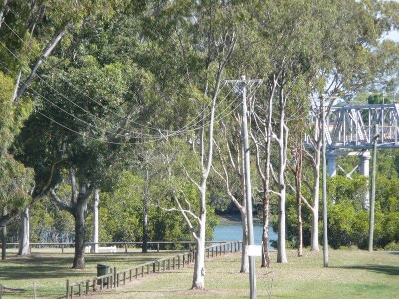 60 Steuart Street, BUNDABERG QLD 4670, Bundaberg Central - Thumbnail 8