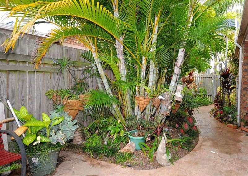 2 Meledie Avenue, KAWUNGAN QLD 4655, Kawungan - Thumbnail 6