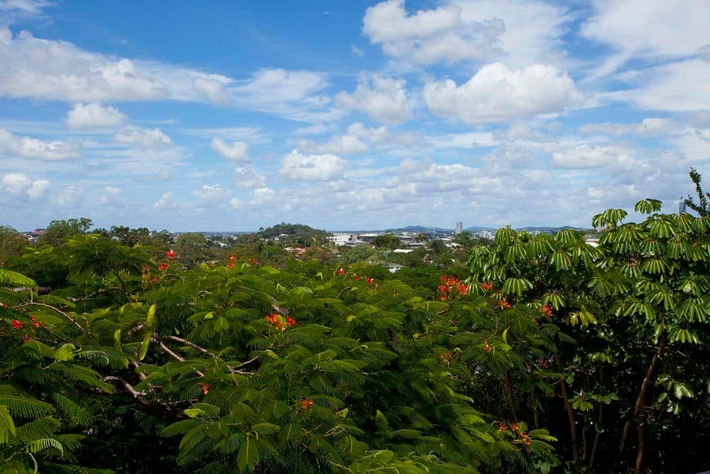 29 Welbeck Street, ALDERLEY QLD 4051, Alderley - Thumbnail 2