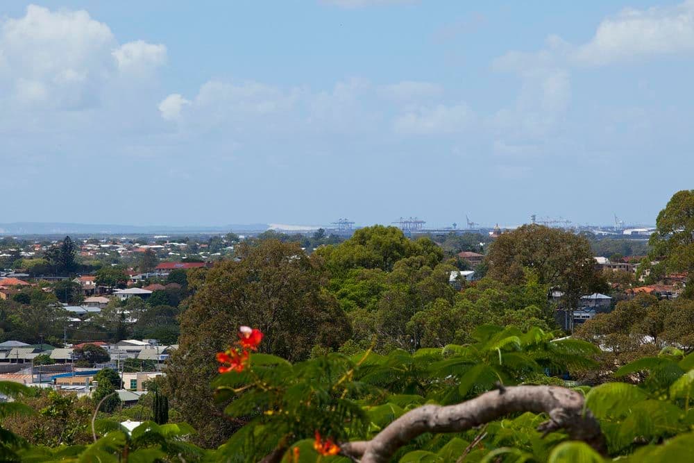 29 Welbeck Street, ALDERLEY QLD 4051, Alderley - Thumbnail 3