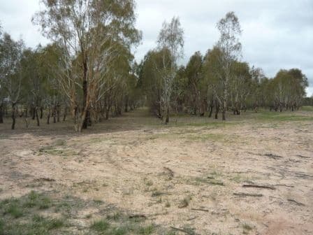 Lot 7  Kerrford Country Estate, THURGOONA NSW 2640, Thurgoona - Image 1