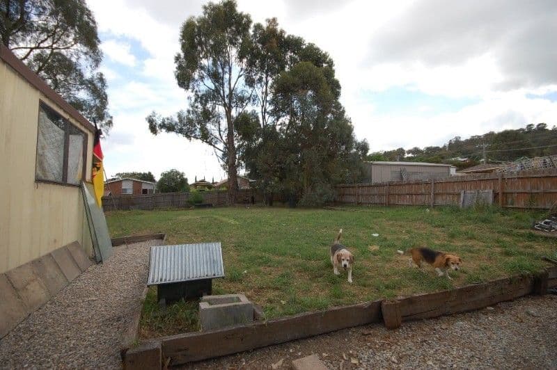 11 Berry Court, LILYDALE VIC 3140, Lilydale - Thumbnail 6