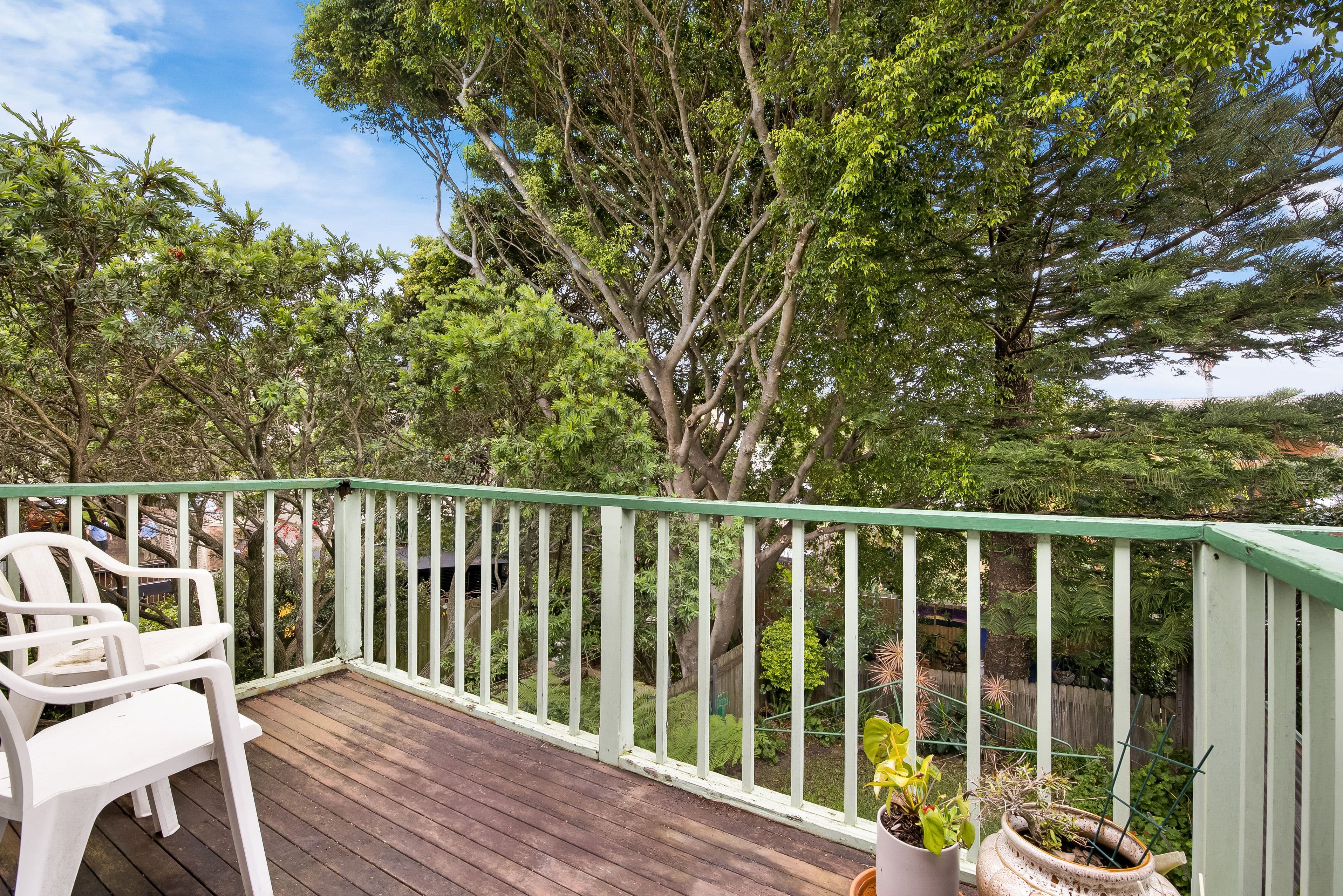 44 Albion Street, Waverley NSW 2024, Waverley - Thumbnail 5