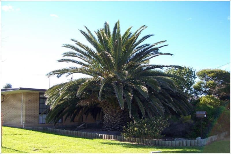 11 Thomas Street, ALDINGA BEACH SA 5173, Aldinga Beach - Image 1