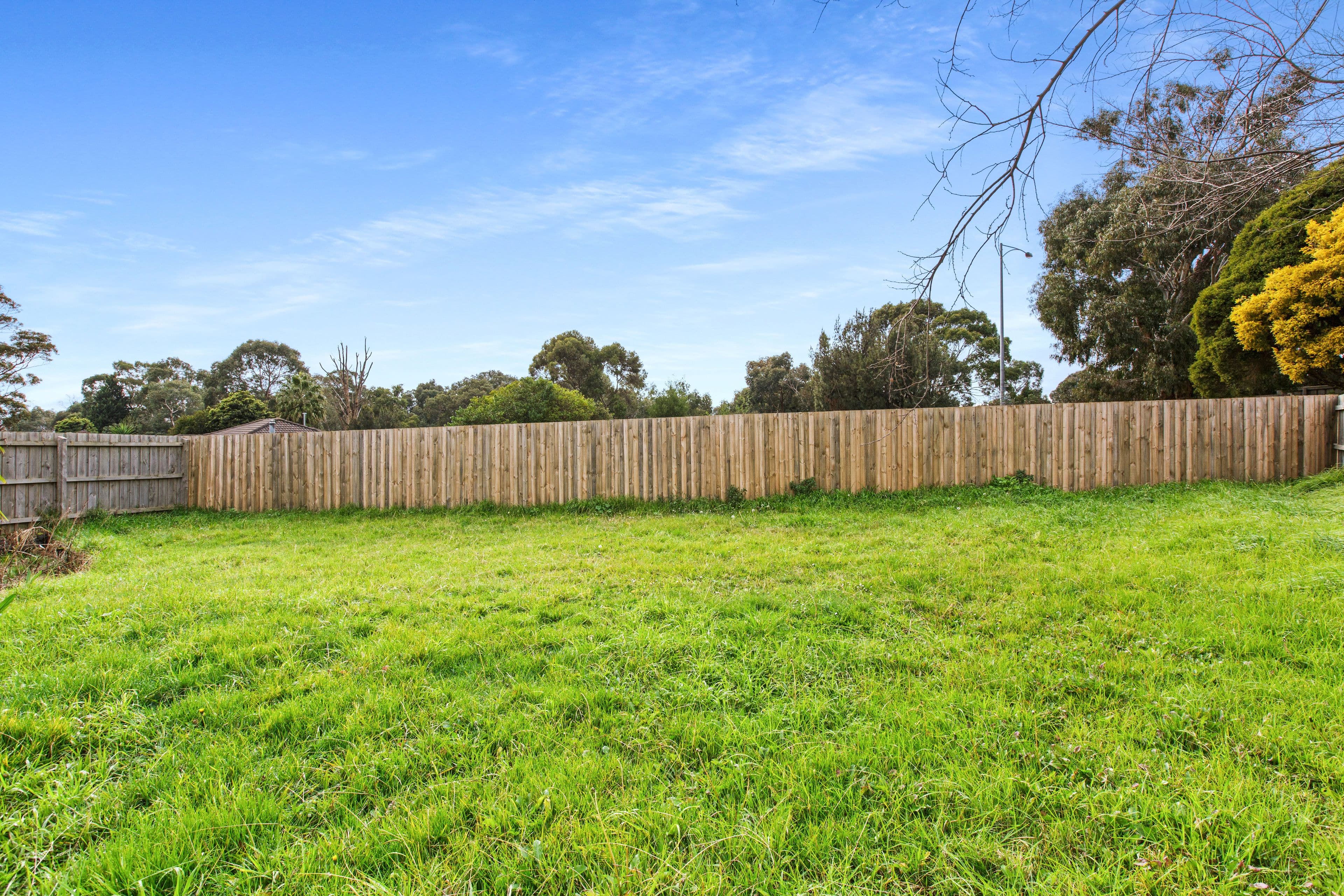 12 Prior Court, Rowville VIC 3178, Rowville - Thumbnail 6