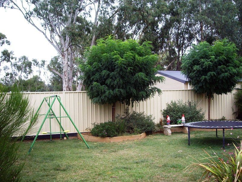 3 Sarah Street, Deagon, QLD, 4017, Deagon - Thumbnail 5