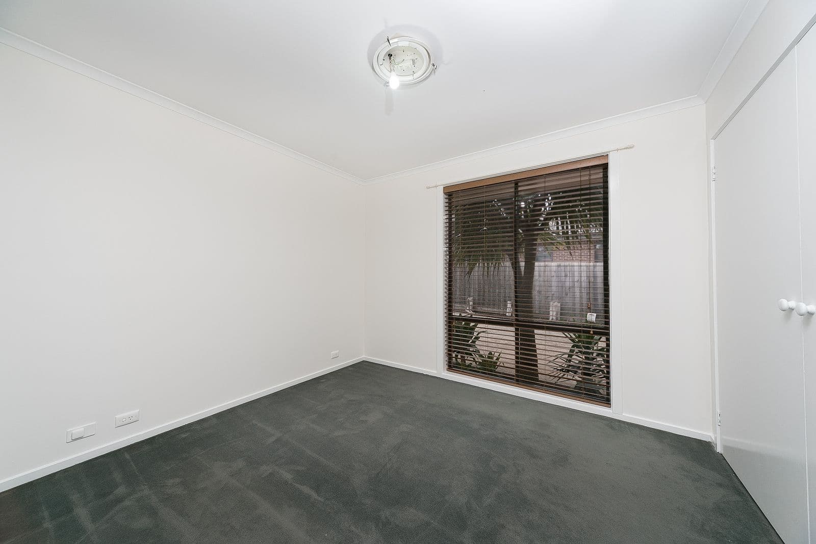 37 Alexander Street, Hallam VIC 3803, Hallam - Thumbnail 8