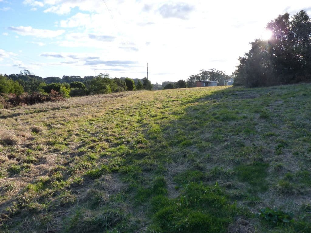 22 Caalong Street, Robertson NSW 2577, Robertson - Thumbnail 4