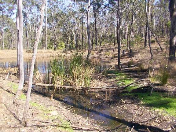 MOUNT BERRYMAN QLD 4341, Mount Berryman - Thumbnail 3