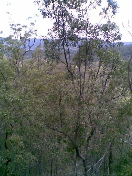 MOUNT BERRYMAN QLD 4341, Mount Berryman - Thumbnail 5
