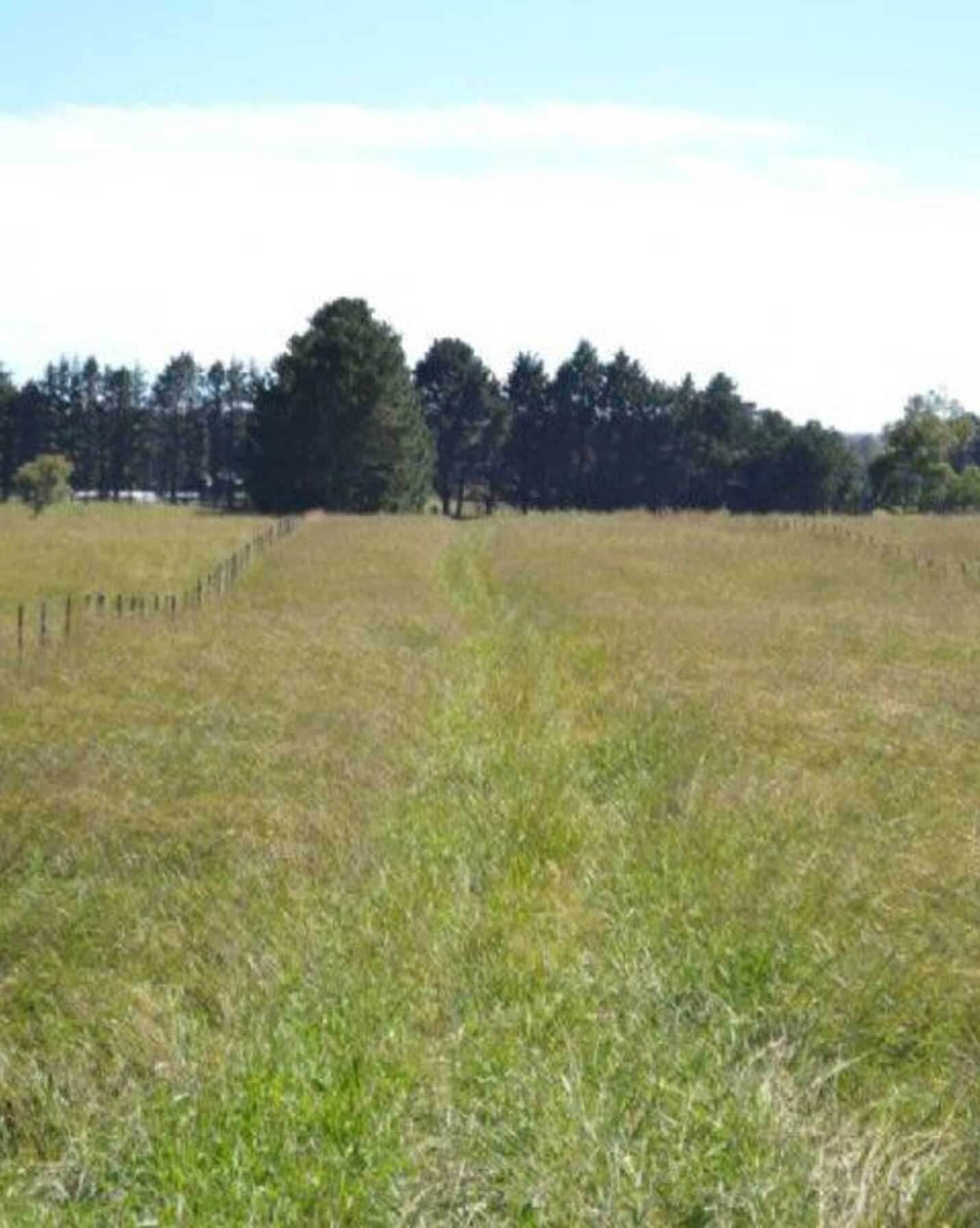 302 Sproules Lane Bowral, Bowral - Thumbnail 5