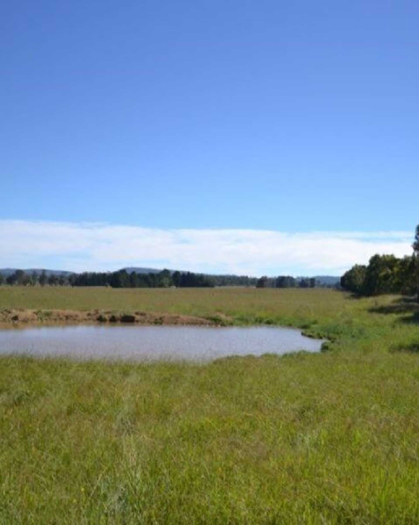 302 Sproules Lane Bowral, Bowral - Thumbnail 7