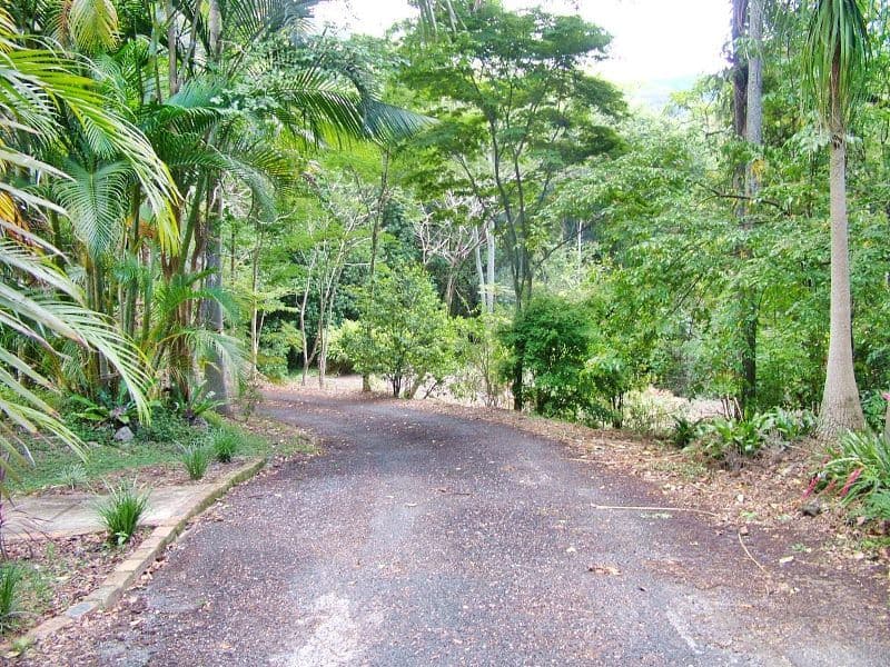 35 Condor Place, Clothiers Creek - Thumbnail 7