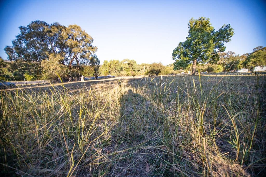 131-133 Stephens Street, Binalong NSW 2584, Binalong - Thumbnail 3
