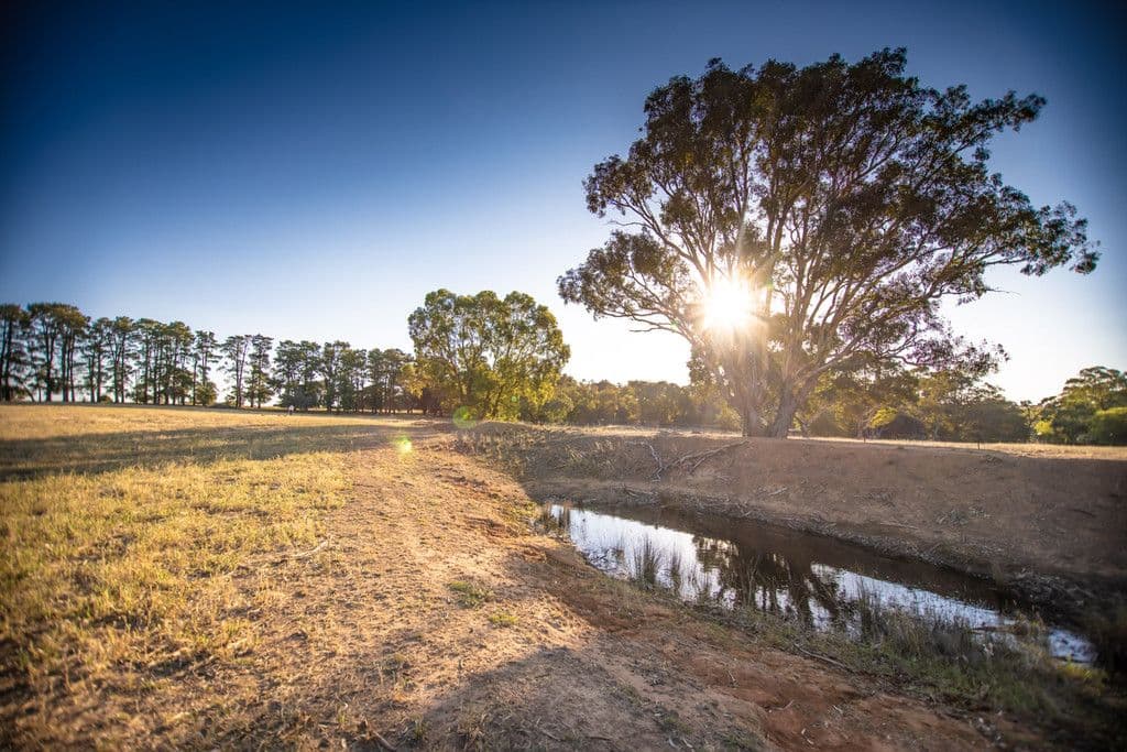 131-133 Stephens Street, Binalong NSW 2584, Binalong - Thumbnail 4