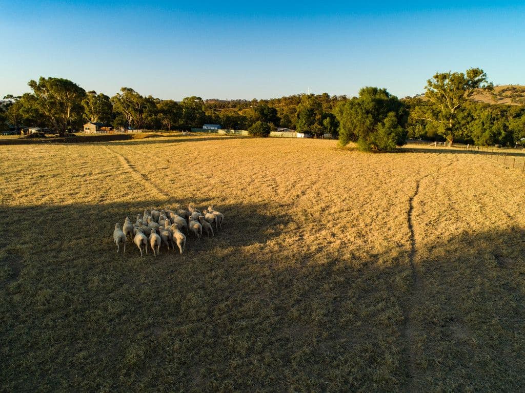 131-133 Stephens Street, Binalong NSW 2584, Binalong - Thumbnail 6
