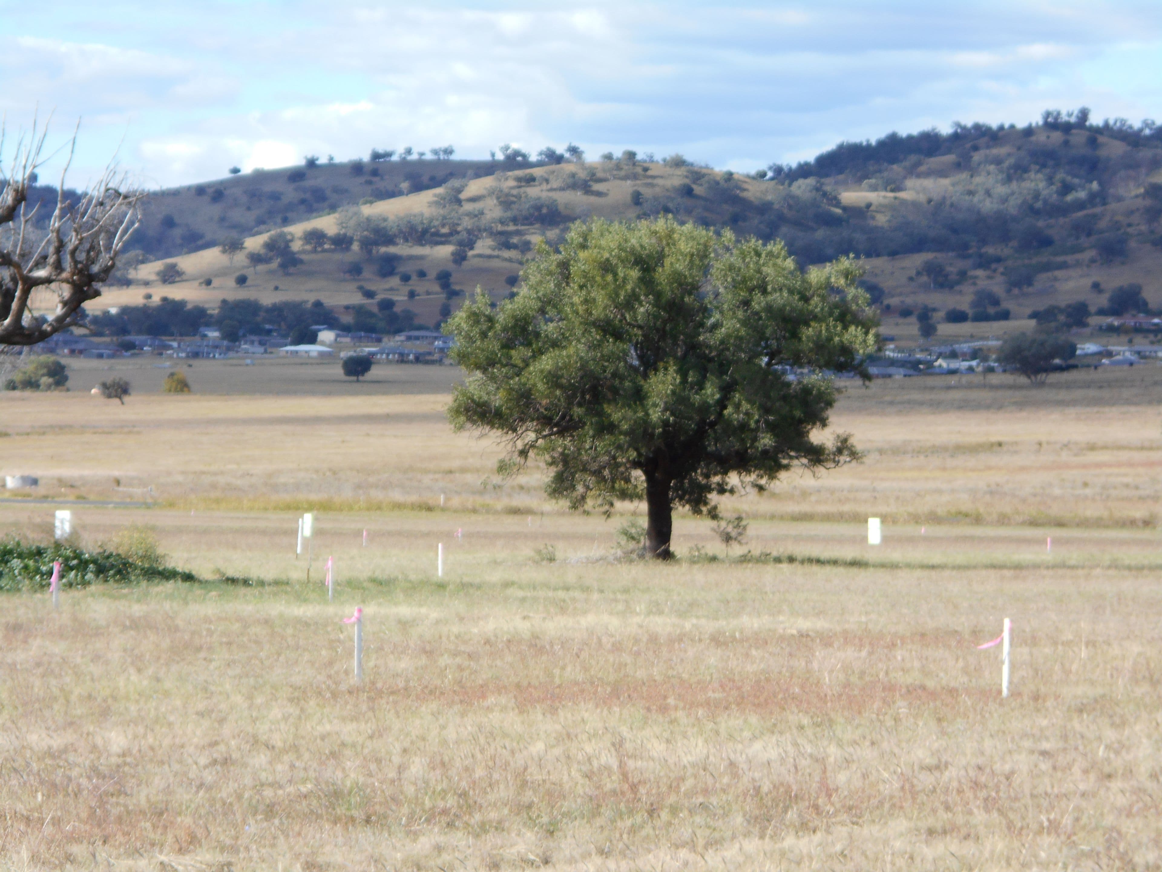Lot 101, Stage 10 Moore Creek Gardens, Tamworth NSW 2340, Tamworth - Thumbnail 6