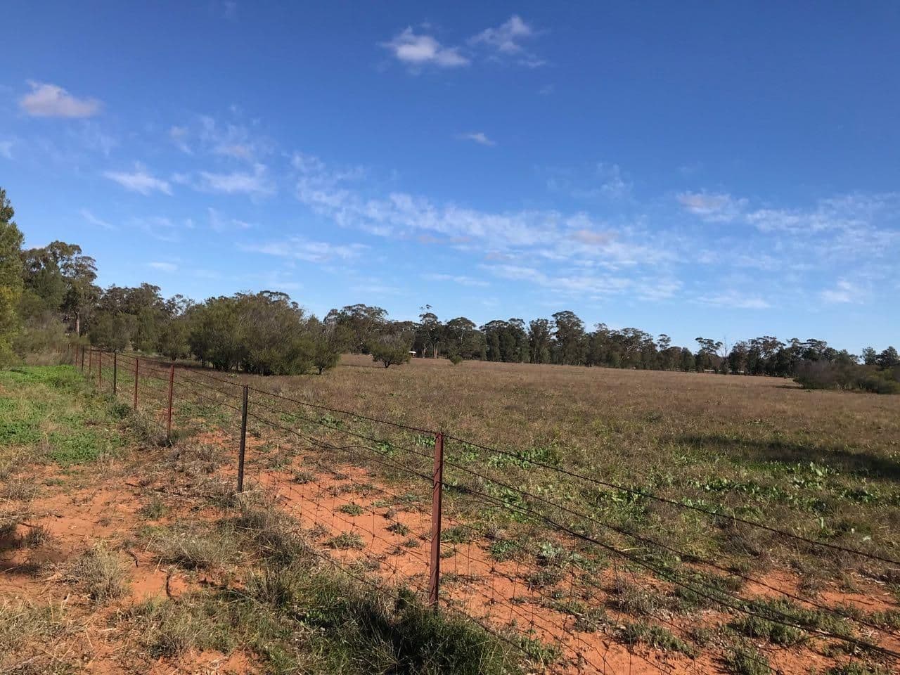 130 Tomingley Cemetery Road, Tomingley NSW 2869, Tomingley - Thumbnail 3