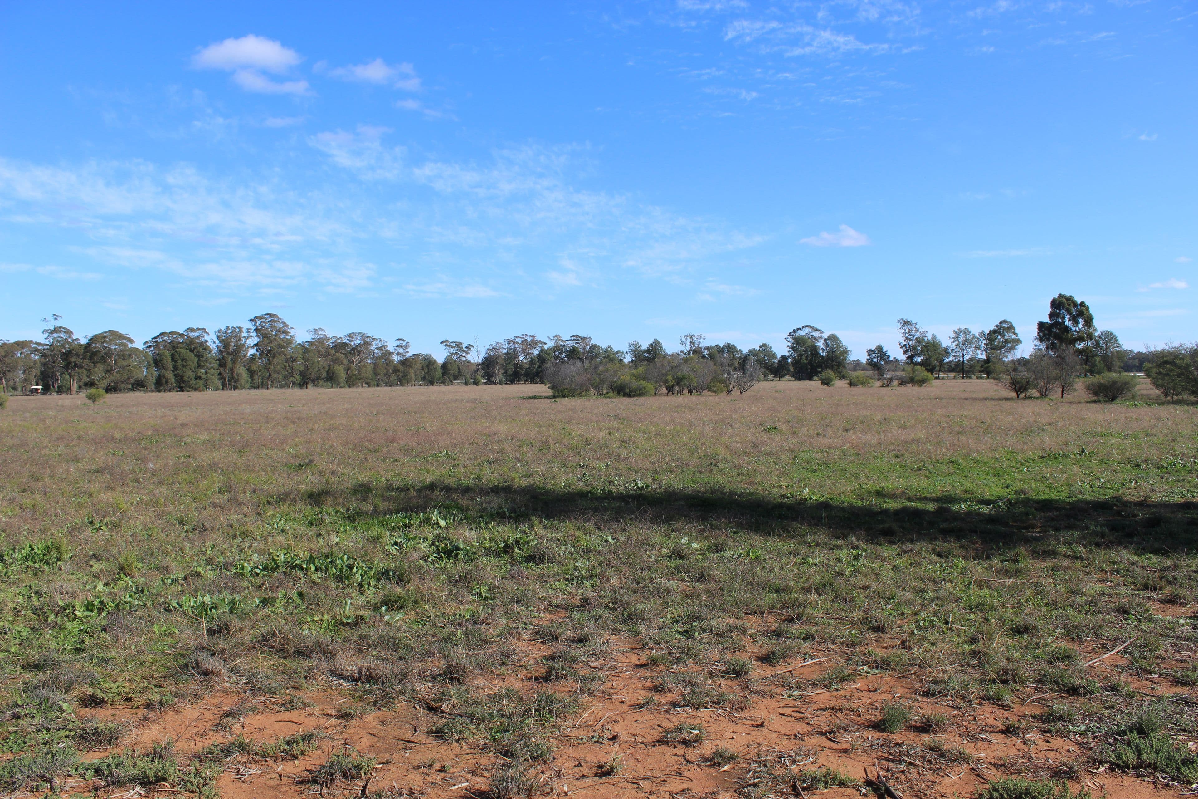 130 Tomingley Cemetery Road, Tomingley NSW 2869, Tomingley - Thumbnail 4