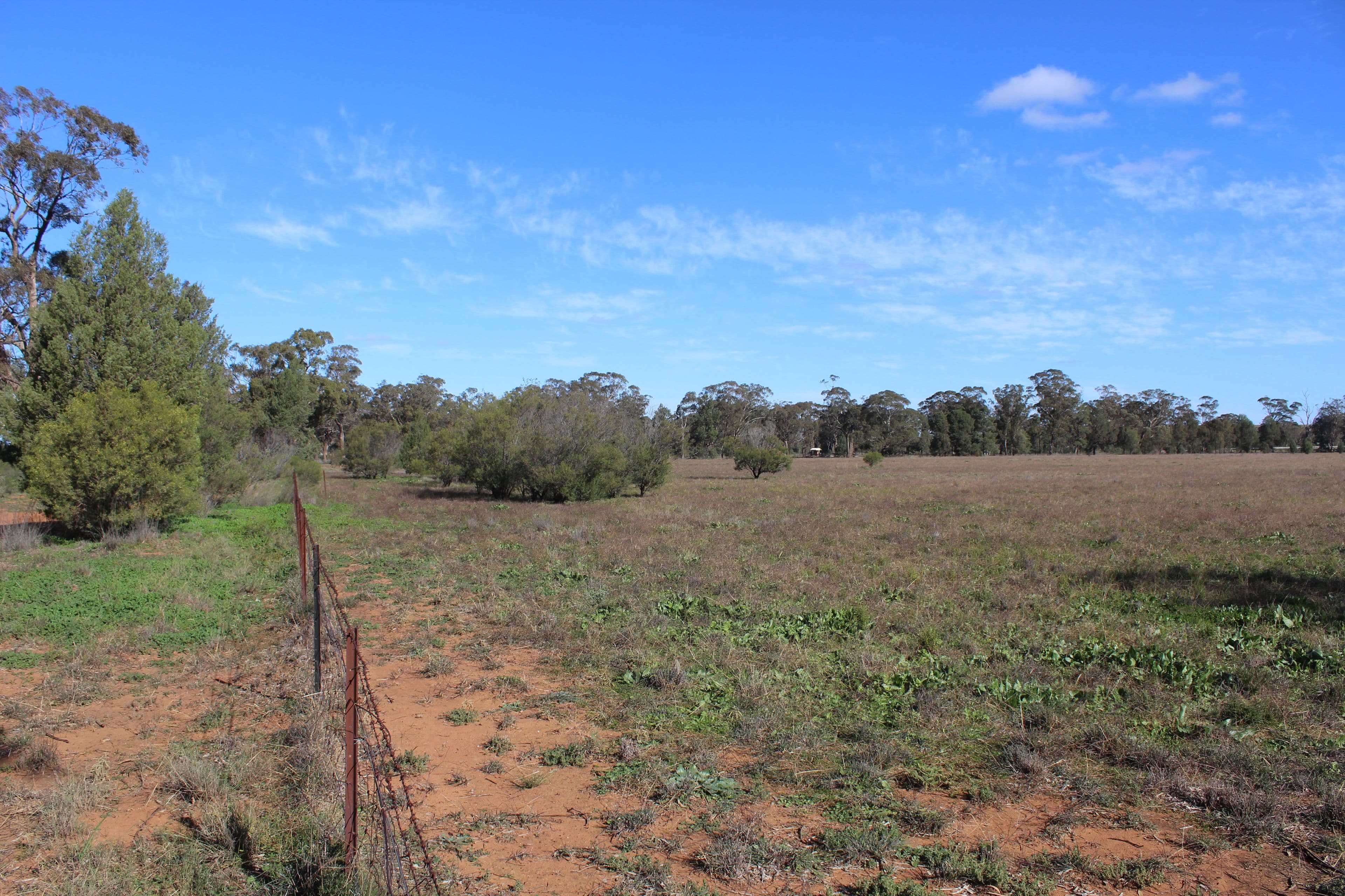 130 Tomingley Cemetery Road, Tomingley NSW 2869, Tomingley - Thumbnail 5