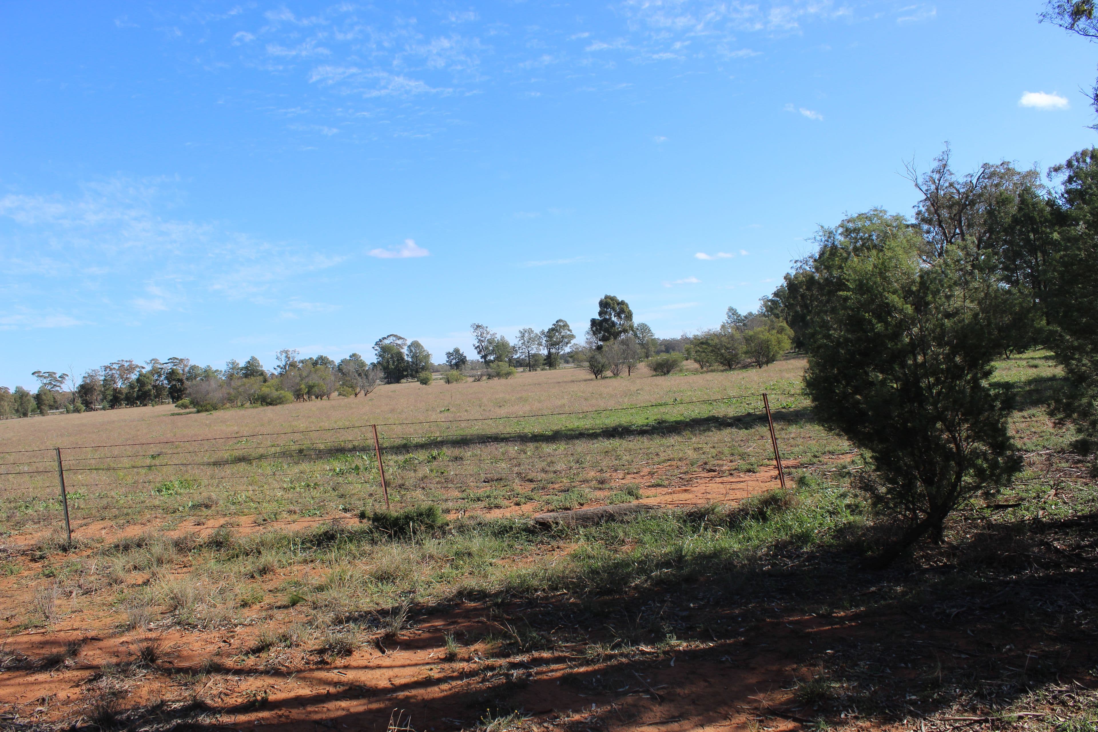 130 Tomingley Cemetery Road, Tomingley NSW 2869, Tomingley - Thumbnail 6