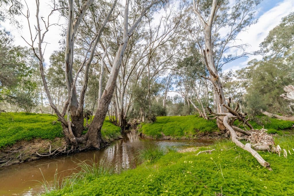 85 Goldie Street, Marong VIC 3515, Marong - Thumbnail 7