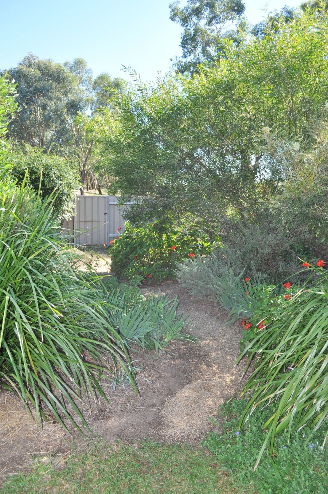 16 Bandera Avenue, GLENFIELD PARK NSW 2650, Glenfield Park - Thumbnail 8