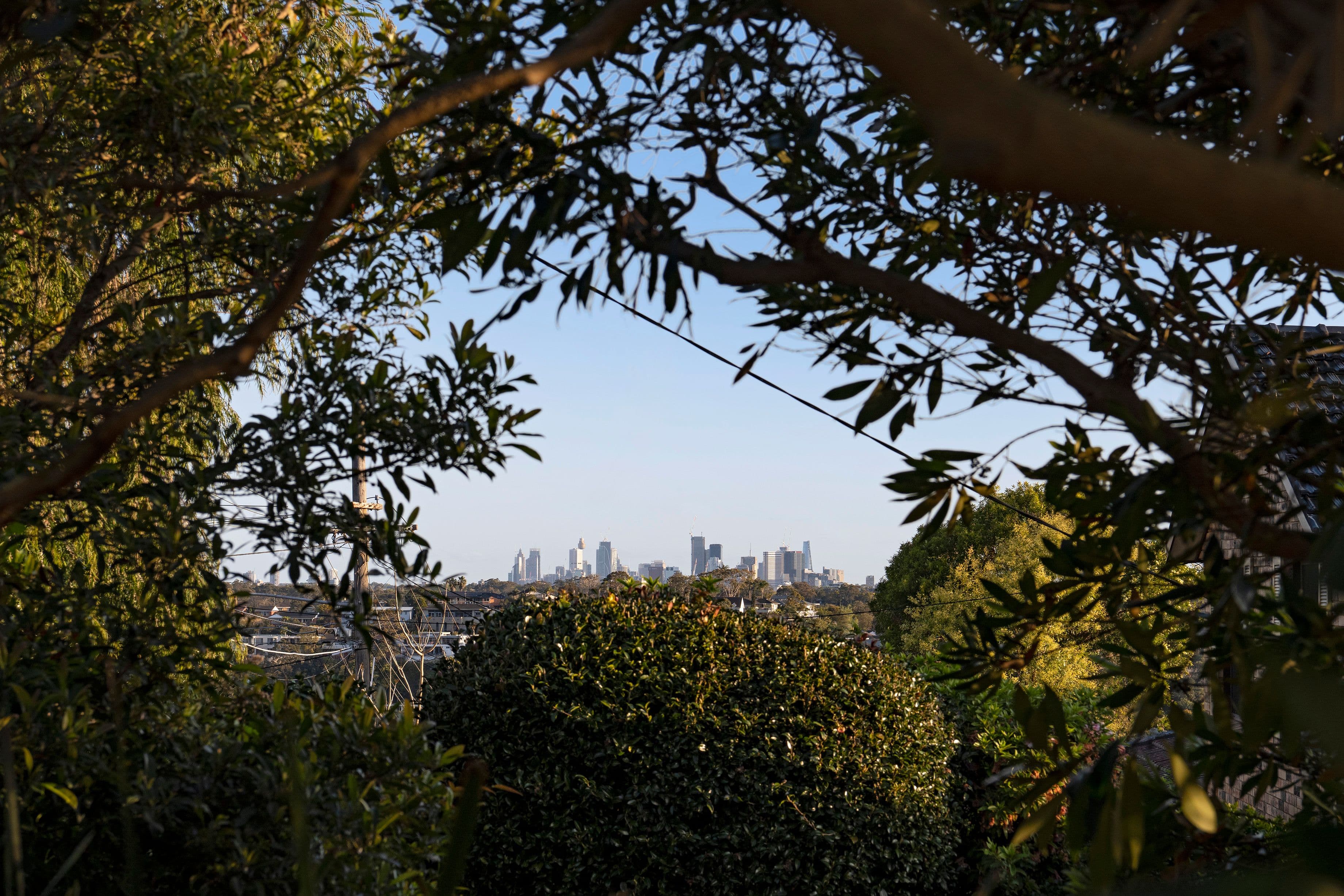 59 Roscommon Crescent, Killarney Heights NSW 2087, Killarney Heights - Thumbnail 8