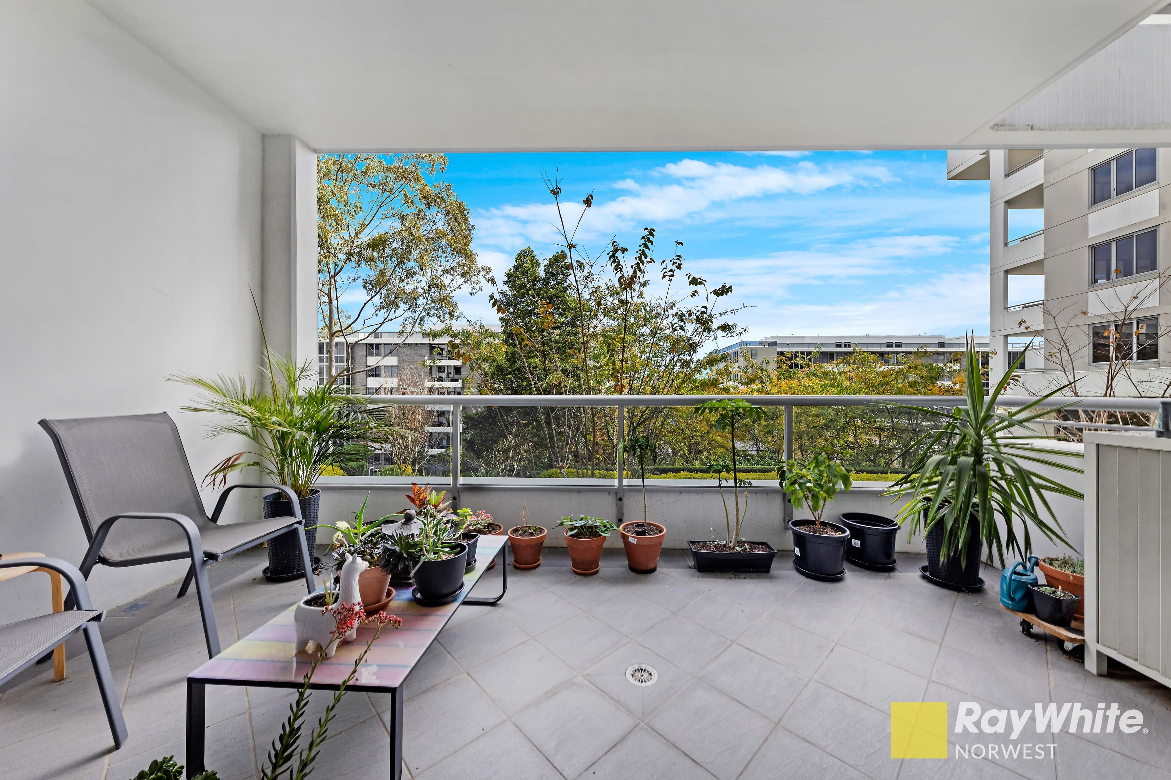 2 Marquet Street, Rhodes NSW 2138, Rhodes - Thumbnail 7